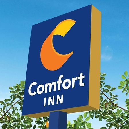 Comfort Inn Мартинсвилл Экстерьер фото
